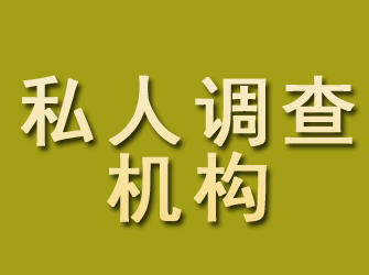 莲都私人调查机构