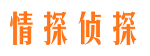 莲都市侦探公司